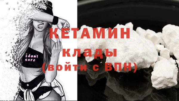 стаф Новозыбков
