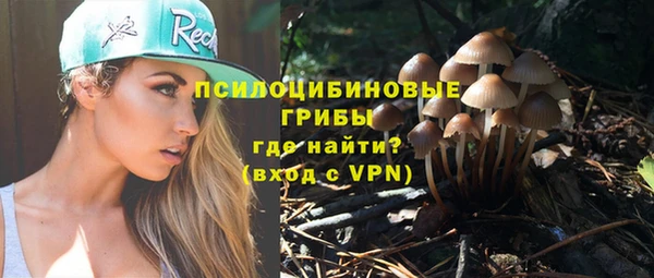 прущий лед Нягань