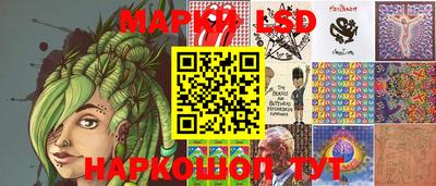 a pvp Камышлов