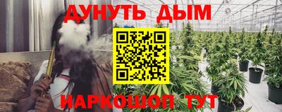 a pvp Камышлов