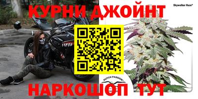 a pvp Камышлов