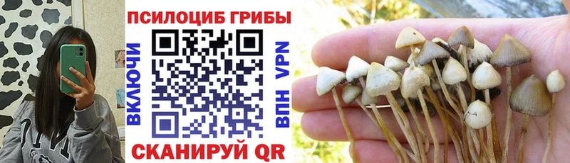 Псилоцибиновые грибы прущие грибы  MEGA как войти  Серов 