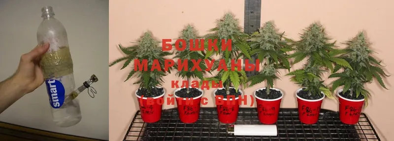 Марихуана THC 21%  купить закладку  Серов 